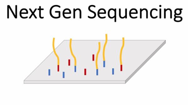 Next Gen Sequencing cover