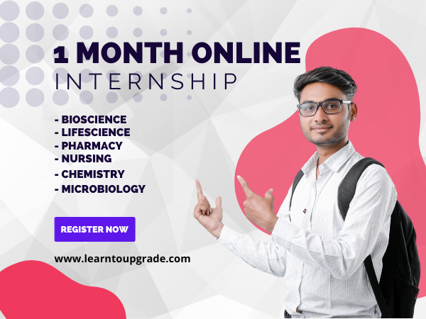 1 Months Internship Certification Program cover
