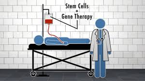 Stem Cell and Gene Therapy Certification training cover