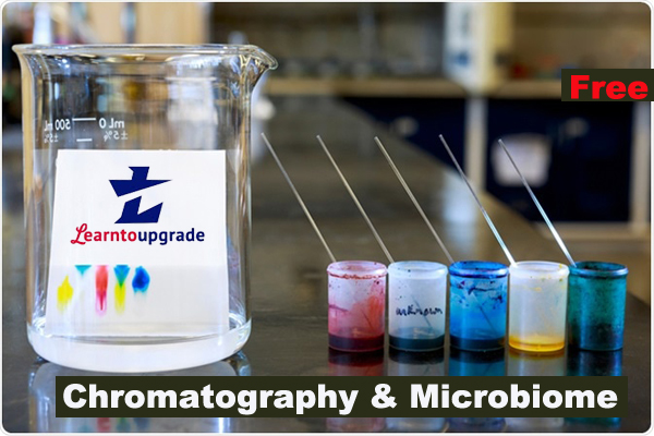 Chromatographic Techniques: Free Webinar cover