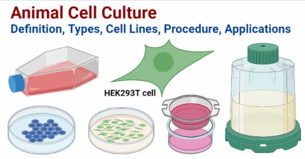 Cell culture techniques (Plant & Animal): Self learning course cover
