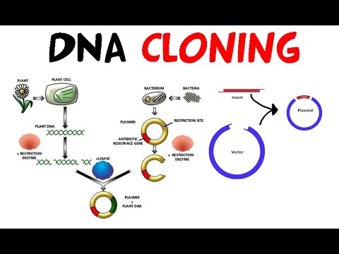 Molecular cloning webinar cover