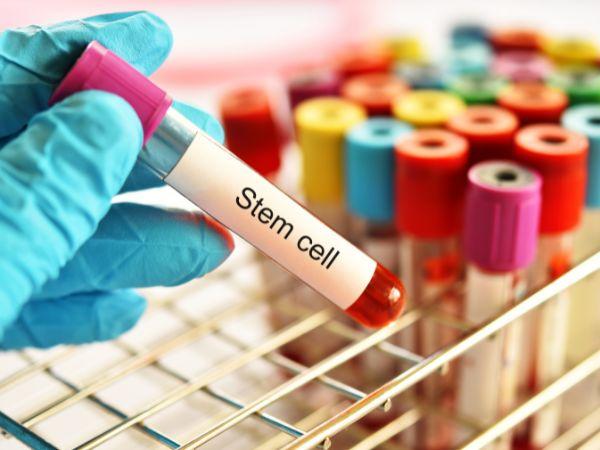 The Science Of Steam Cells cover