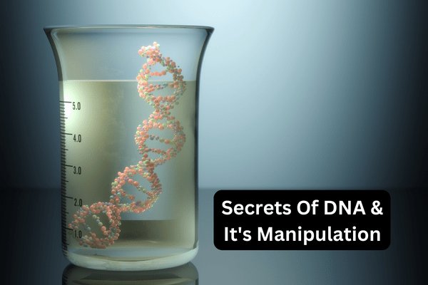 Secrets of DNA and Genetic Manipulation cover