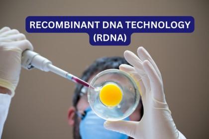 Recombinant DNA Technology & Genetic Engineering- Self Learning cover