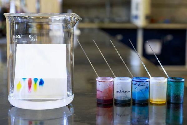 Chromatography cover