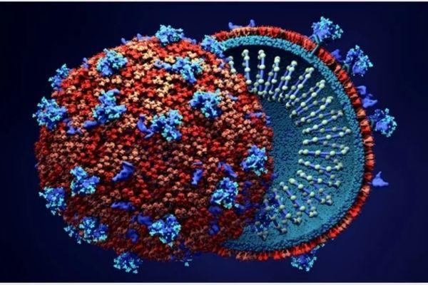 Virology Course cover
