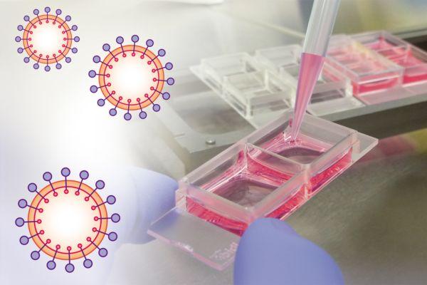 Mastering in Virology cover