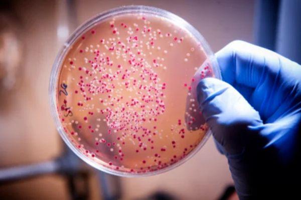 Molecular Biology & Chromatography Techniques Course cover