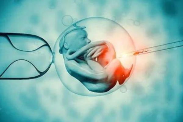 Clinical Embryology Online Course cover