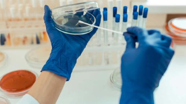 1 Month Online Internship Dissertation program - Annasaheb Dange college of B.pharmacy cover