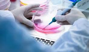 3 Days Industrial Training on Instrumental Handling - School of Pharmaceutical Sciences and Research/Institute of Pharmaceutical Sciences and Research cover